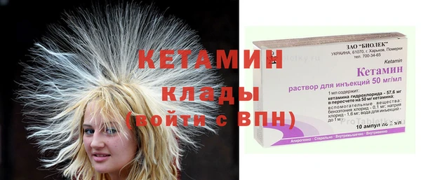крисы Слюдянка